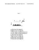 METHODS FOR ANTIBODY AND CELL THERAPEUTIC DISCOVERY diagram and image