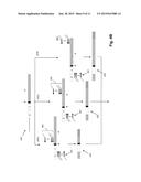 METHOD OF DETERMINING CLONOTYPES AND CLONOTYPE PROFILES diagram and image