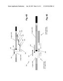 METHOD OF DETERMINING CLONOTYPES AND CLONOTYPE PROFILES diagram and image