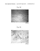 CRYSTAL PRODUCING APPARATUS, SiC SINGLE CRYSTAL PRODUCING METHOD, AND SiC     SINGLE CRYSTAL diagram and image