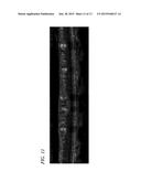 OPTICAL COHERENCE TOMOGRAPHY DEVICE diagram and image