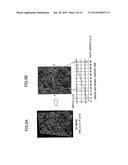 SAMPLING JIG, QUANTITATIVE ANALYSIS METHOD, AND ANALYSIS SYSTEM diagram and image