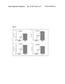 Hypoxia Inducible Factor (HIF) Activity Reporter Cell Line diagram and image