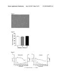 Hypoxia Inducible Factor (HIF) Activity Reporter Cell Line diagram and image