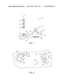 Spatial Positioning of Spectrally Labeled Beads diagram and image