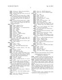 Blueberry plant named  Drisblueten  diagram and image