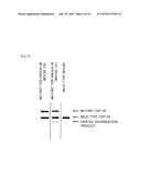 MOUSE MODEL OF AMYOTROPHIC LATERAL SCLEROSIS AND/OR FRONTOTEMPORAL LOBAR     DEGENERATION diagram and image