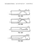 DEVICES AND METHODS FOR CONTROLLED ENDOLUMINAL FILTER DEPLOYMENT diagram and image