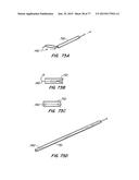 DEVICES AND METHODS FOR CONTROLLED ENDOLUMINAL FILTER DEPLOYMENT diagram and image