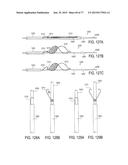 DEVICES AND METHODS FOR CONTROLLED ENDOLUMINAL FILTER DEPLOYMENT diagram and image