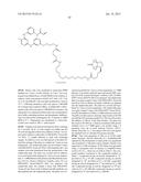 HETEROARYL COMPOUNDS AND USES THEREOF diagram and image