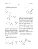 METHOD FOR INHIBITING TOPOISOMERASE II diagram and image