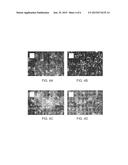 FLAVANOID COMPOUNDS AND PROCESS FOR PREPARATION THEREOF diagram and image