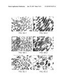 FLAVANOID COMPOUNDS AND PROCESS FOR PREPARATION THEREOF diagram and image