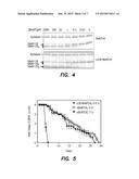 Multiprotease Therapeutics for Chronic Pain diagram and image