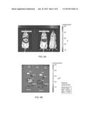 AMINE-CONTAINING TRANSFECTION REAGENTS AND METHODS FOR MAKING AND USING     SAME diagram and image