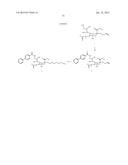 Sialic Acid Derivatives diagram and image