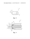 BIOINJECTION DEVICE diagram and image