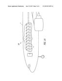 PULSE SATURATION OXYGEN DELIVERY SYSTEM AND METHOD diagram and image