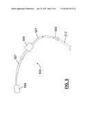 PLEURODESIS DEVICE AND METHOD diagram and image