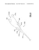 PLEURODESIS DEVICE AND METHOD diagram and image