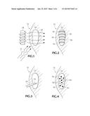 TUMOR TREATMENT WITH FREE RADICAL LIFETIMES ENHANCED BY PERSISTENT LOW     STRENGTH MAGNETIC FIELD diagram and image