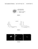 NANO AGGREGATES OF MOLECULAR ULTRA SMALL CLUSTERS OF NOBLE METALS AND A     PROCESS FOR THE PREPARATION THEREOF diagram and image