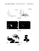 NANO AGGREGATES OF MOLECULAR ULTRA SMALL CLUSTERS OF NOBLE METALS AND A     PROCESS FOR THE PREPARATION THEREOF diagram and image