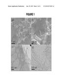 GRAPHENE AEROGELS diagram and image