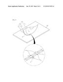 SCRIBING WHEEL HAVING FINE STRUCTURE RECESS diagram and image