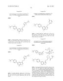 FUSED HETEROCYCLIC COMPOUNDS AS ION CHANNEL MODULATORS diagram and image