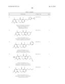 ARYL AND HETEROARYL FUSED LACTAMS diagram and image