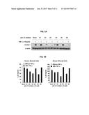 P62-ZZ CHEMICAL INHIBITOR diagram and image