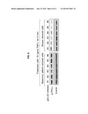 P62-ZZ CHEMICAL INHIBITOR diagram and image