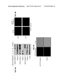 P62-ZZ CHEMICAL INHIBITOR diagram and image