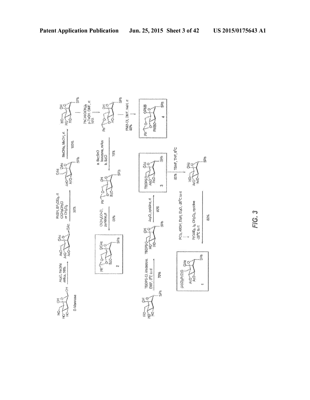 OLIGOSACCHARIDE-PROTEIN CONJUGATES - diagram, schematic, and image 04