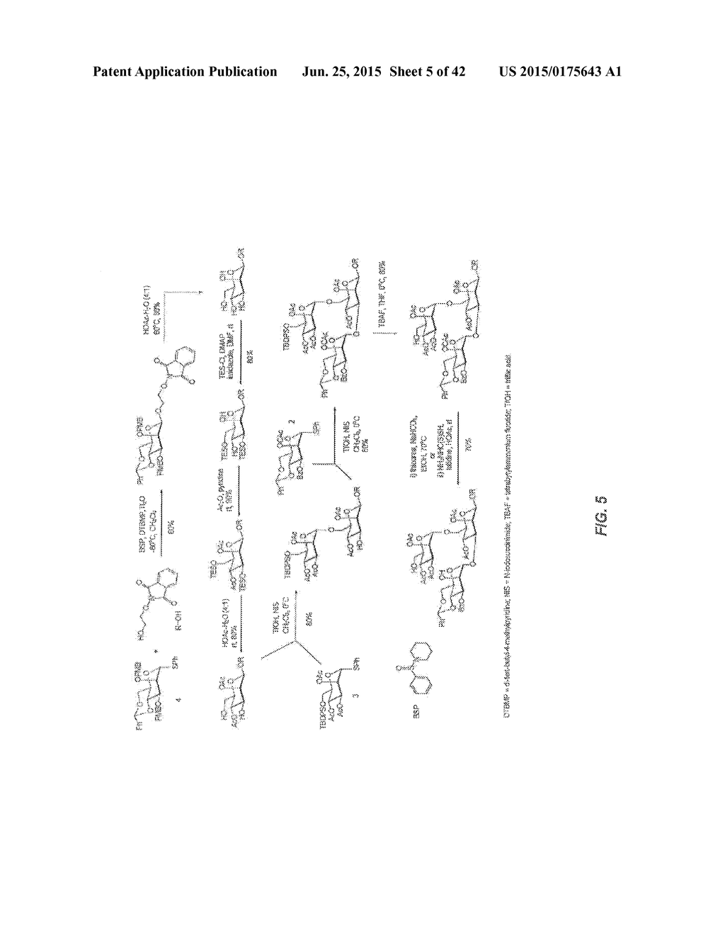 OLIGOSACCHARIDE-PROTEIN CONJUGATES - diagram, schematic, and image 06