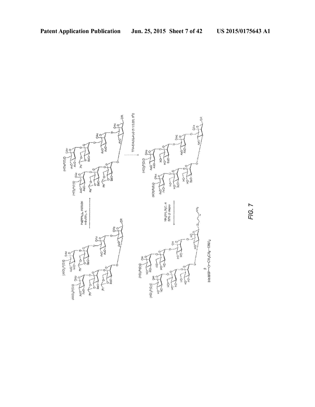 OLIGOSACCHARIDE-PROTEIN CONJUGATES - diagram, schematic, and image 08