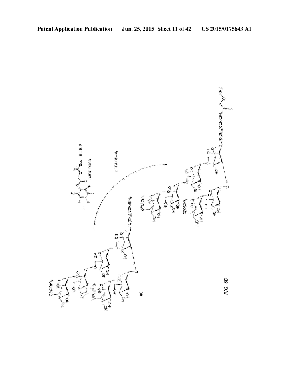 OLIGOSACCHARIDE-PROTEIN CONJUGATES - diagram, schematic, and image 12