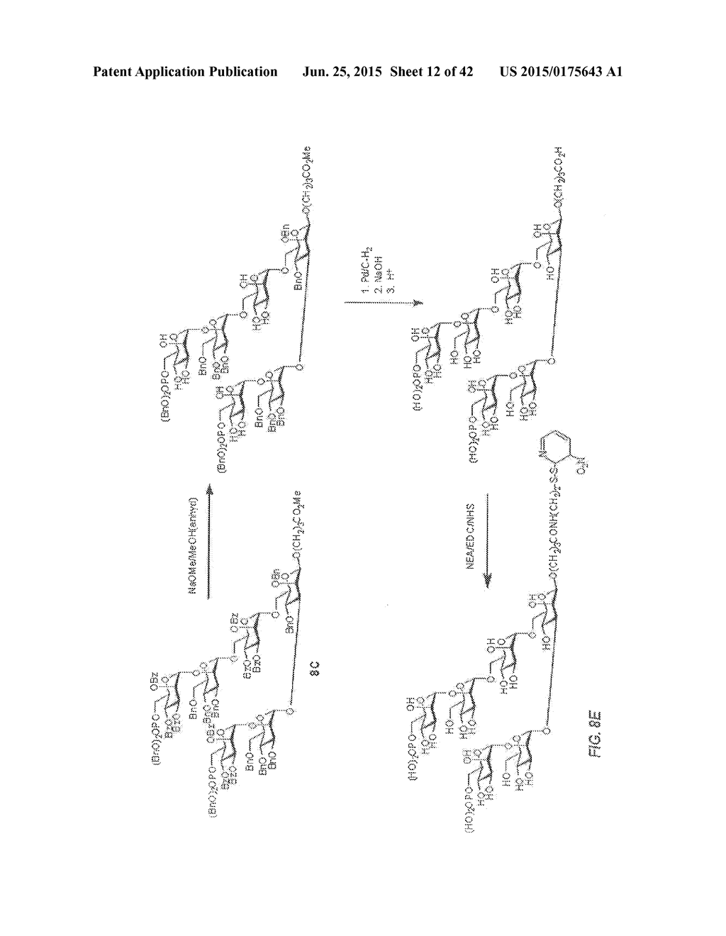 OLIGOSACCHARIDE-PROTEIN CONJUGATES - diagram, schematic, and image 13