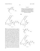 INHIBITORS OF HEPATITIS C VIRUS diagram and image