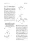 INHIBITORS OF HEPATITIS C VIRUS diagram and image