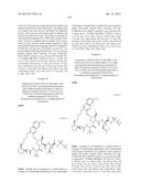 INHIBITORS OF HEPATITIS C VIRUS diagram and image