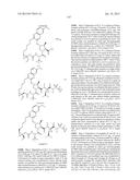 INHIBITORS OF HEPATITIS C VIRUS diagram and image