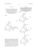 INHIBITORS OF HEPATITIS C VIRUS diagram and image