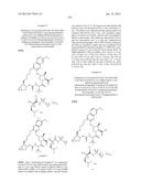 INHIBITORS OF HEPATITIS C VIRUS diagram and image