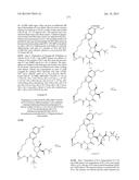 INHIBITORS OF HEPATITIS C VIRUS diagram and image