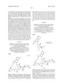 INHIBITORS OF HEPATITIS C VIRUS diagram and image