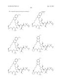 INHIBITORS OF HEPATITIS C VIRUS diagram and image