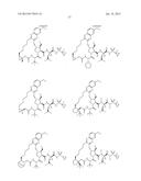 INHIBITORS OF HEPATITIS C VIRUS diagram and image